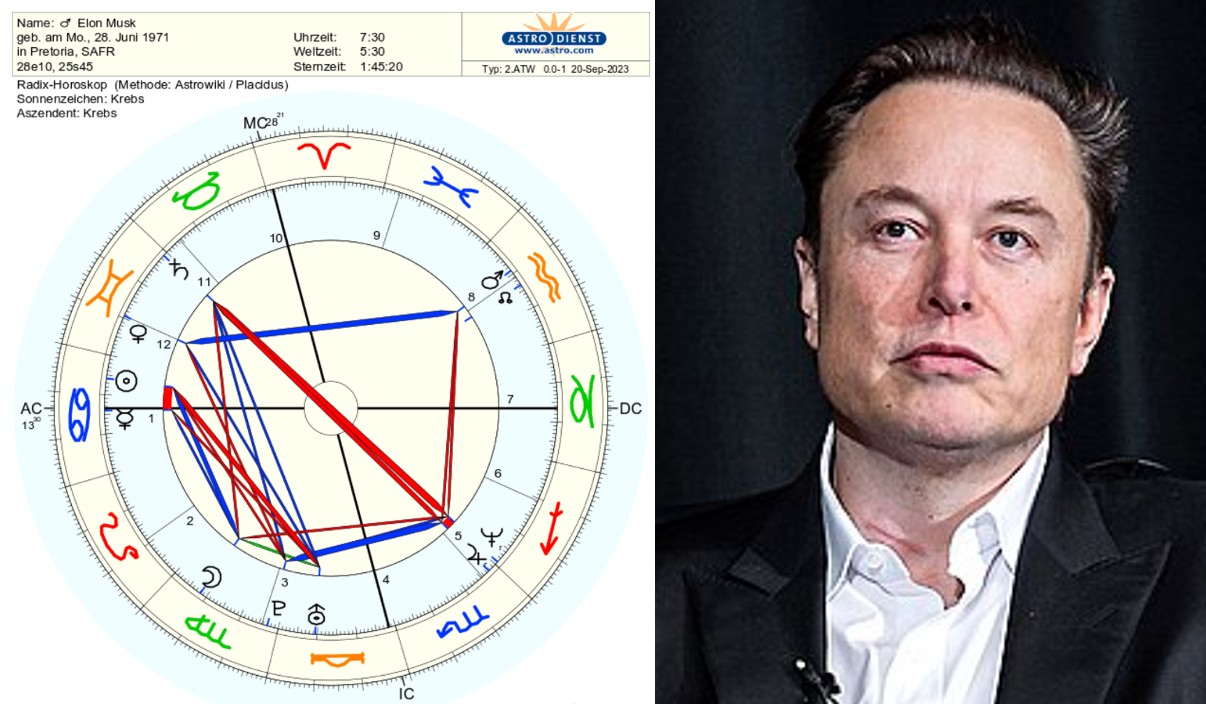 イーロン・マスク、チャートと画像